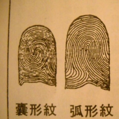 Fingerprints are used