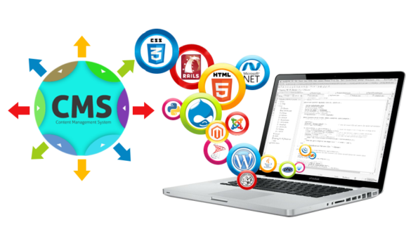 Basa su desarollo en CMS (Sistemas de Gestión de Contenidos)