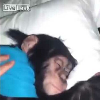 Timeline: Stara Grčija in Rimsko cesarstvo