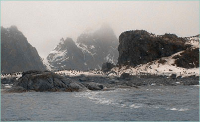 They made it to Elephant island!