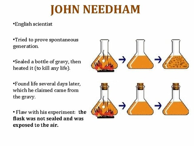 John Needham's Experiment