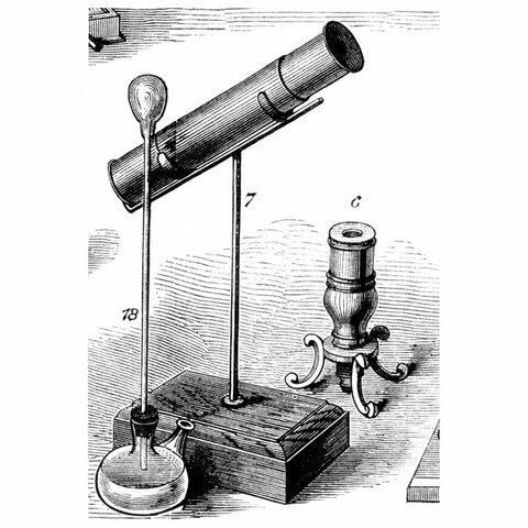 compound microscope