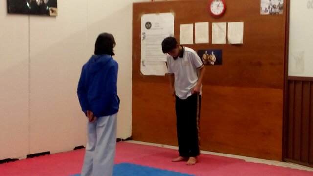 I am currently learning taekwondo