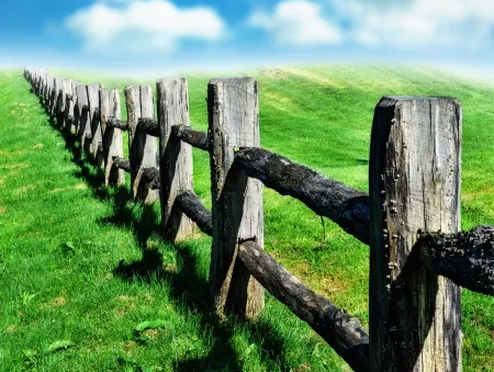 La ANUC acoge una conveniente plataforma política propiamente creada