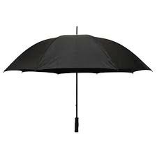 The steel ribbed umbrella