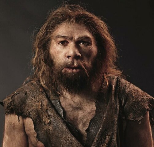 HOMO NEANDERTHALENSIS
