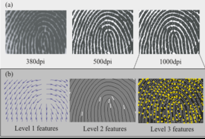 The creation of Anthropometry