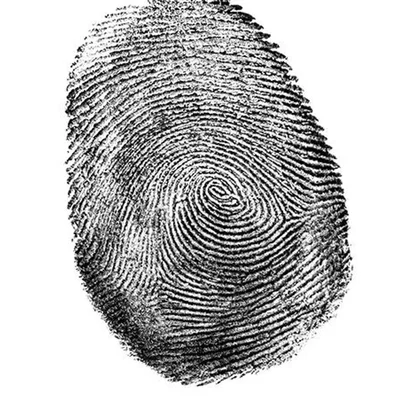 Timeline: Fingerprint timeline