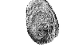 Timeline: Fingerprint timeline