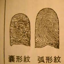 Fingerprints used