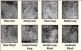 Fingerprint patterns are noticed