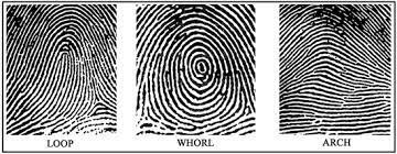 Nine patterns documented