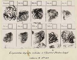 Fingerprints are used to identify someone