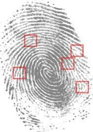 Fingerprints used to solve a crime