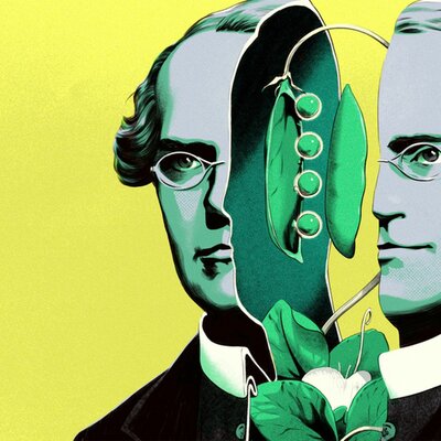 Timeline: Línia del temps genètica