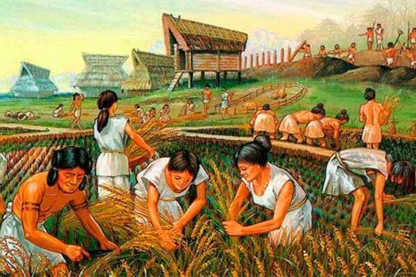 agricultura