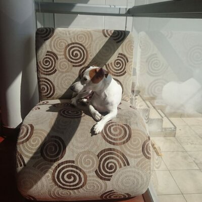 Timeline: My Ricus Picus