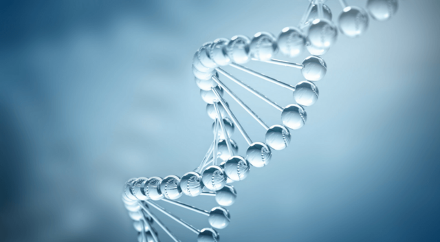 DNA Double Helix Structure Discovered