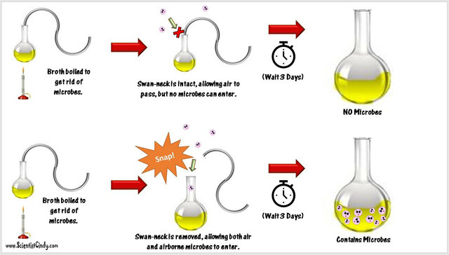 Louis Pasteur's Experiment