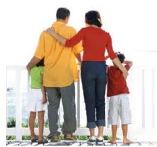 PERDIDA DE ROL FAMILIAR