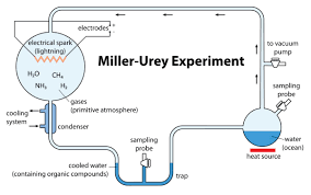 Stanley Miller and Harold Urey (explored the question of where and how did life originate?)