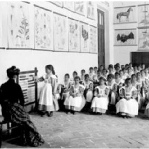 Educación no obligatoria