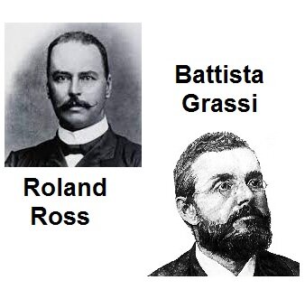 Roland Roos (1857 - 1932) y Battista Grassi (1854 - 1925)