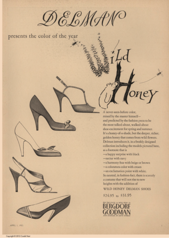 Shade of Colors and Heels