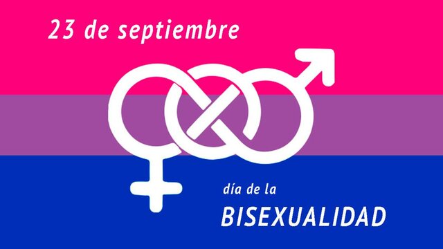 Visibilidad Bisexual