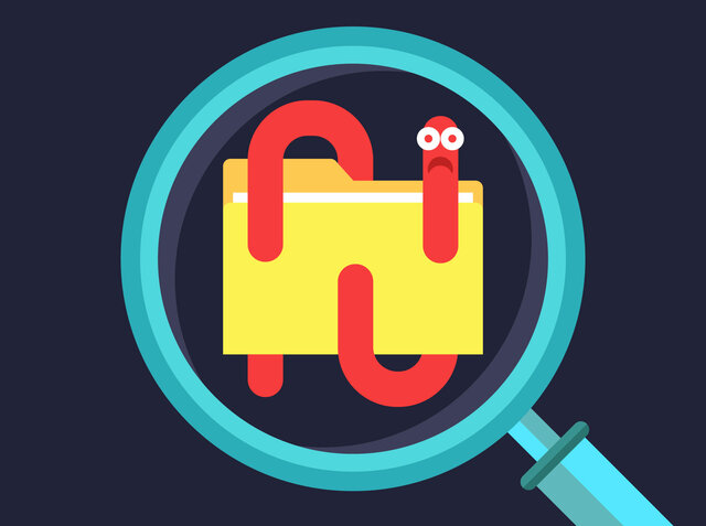 The first computer worm