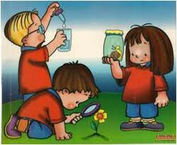 TEORÍA CONSTRUCTIVISTA (1952) JEAN PIAGET