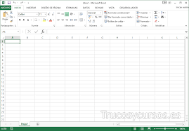 Excel 15.0