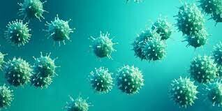 Anton Van Leeuwenhoek