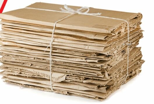 Gestión del Cartón