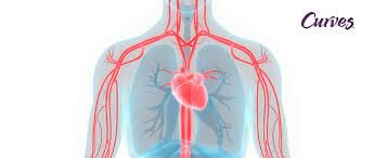 Descobriment circulació de la sang