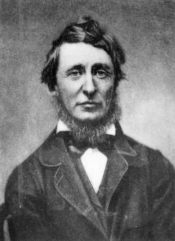 H. D. THOREAU