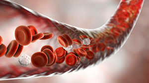 La circulació de la sang.