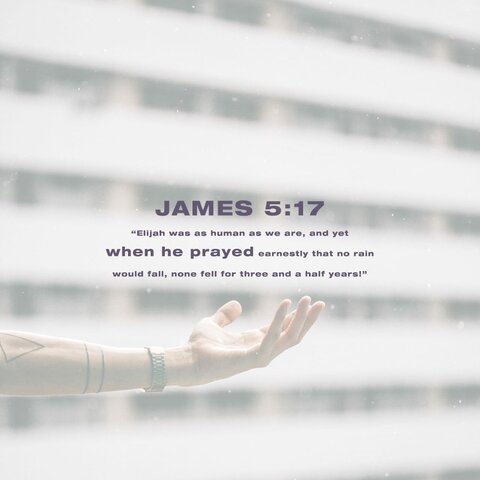 3 and a half years of no rain