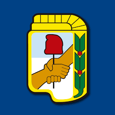 Constitución formal del Partido Peronista