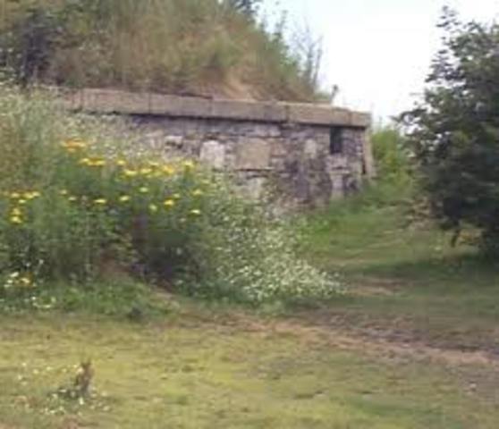 Lewis sets off to Washington DC and attempts suicide