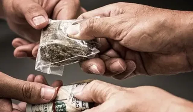 Comienzo de la guerra contra el narcotráfico