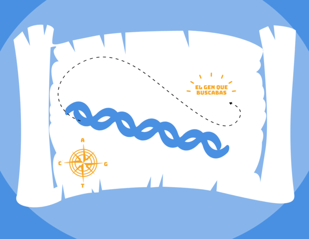 Publicación de los resultados