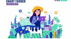 Timeline: Los alimentos