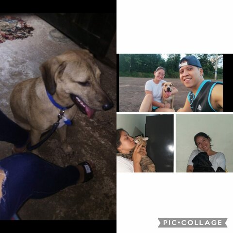 Llegada de nuestros hijos