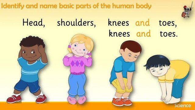 Respuesta física total