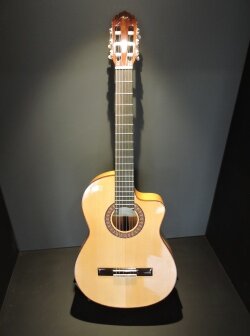 Crecimiento de la guitarra Flamenca.