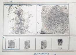 America begins to use fingerprints