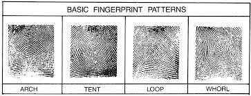 fingerprint patterns are noticed