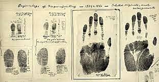 Fingerprints are used to identify someone