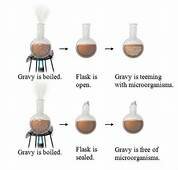 Lazzaro Spallanzani disproves spontaneous generation.